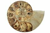 Cut Ammonite Fossil From Madagascar - Crystal Pockets! #207125-4